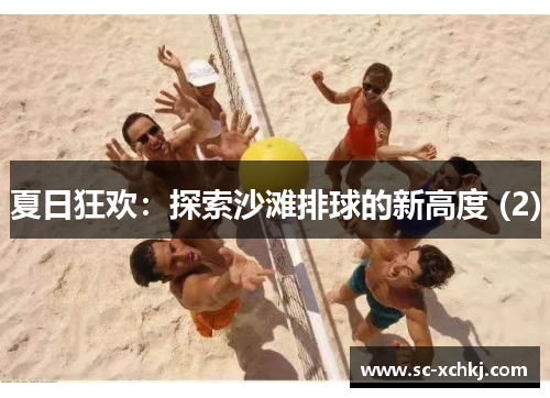 夏日狂欢：探索沙滩排球的新高度 (2)