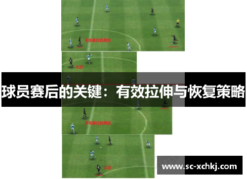 球员赛后的关键：有效拉伸与恢复策略