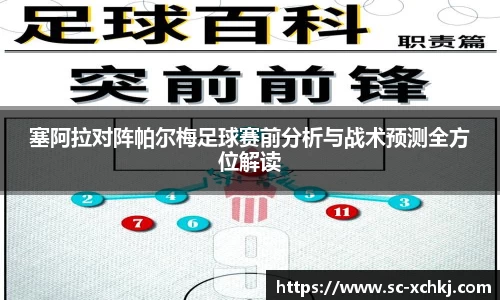 塞阿拉对阵帕尔梅足球赛前分析与战术预测全方位解读